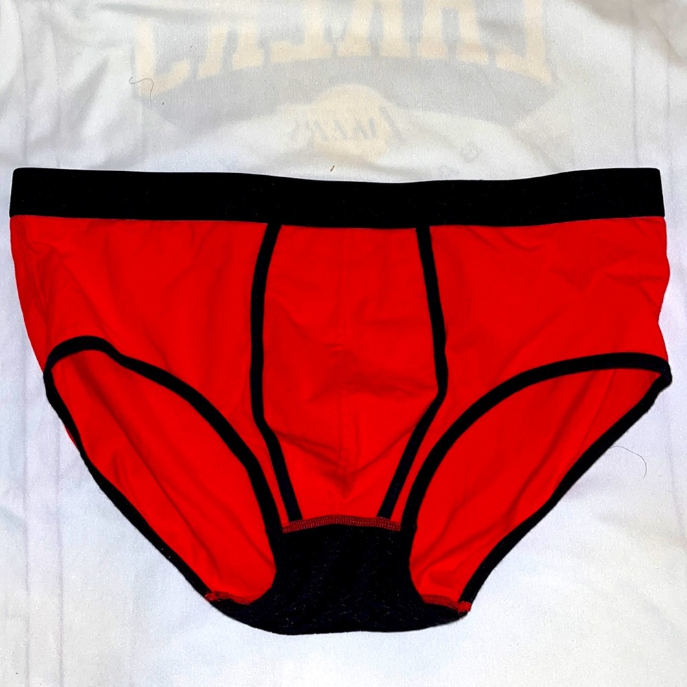 BEAR SKN BRIEFS